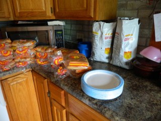 (c) amysara and The R Farm