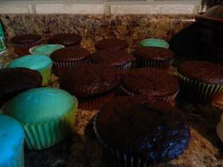 (c) amysara and The R Farm