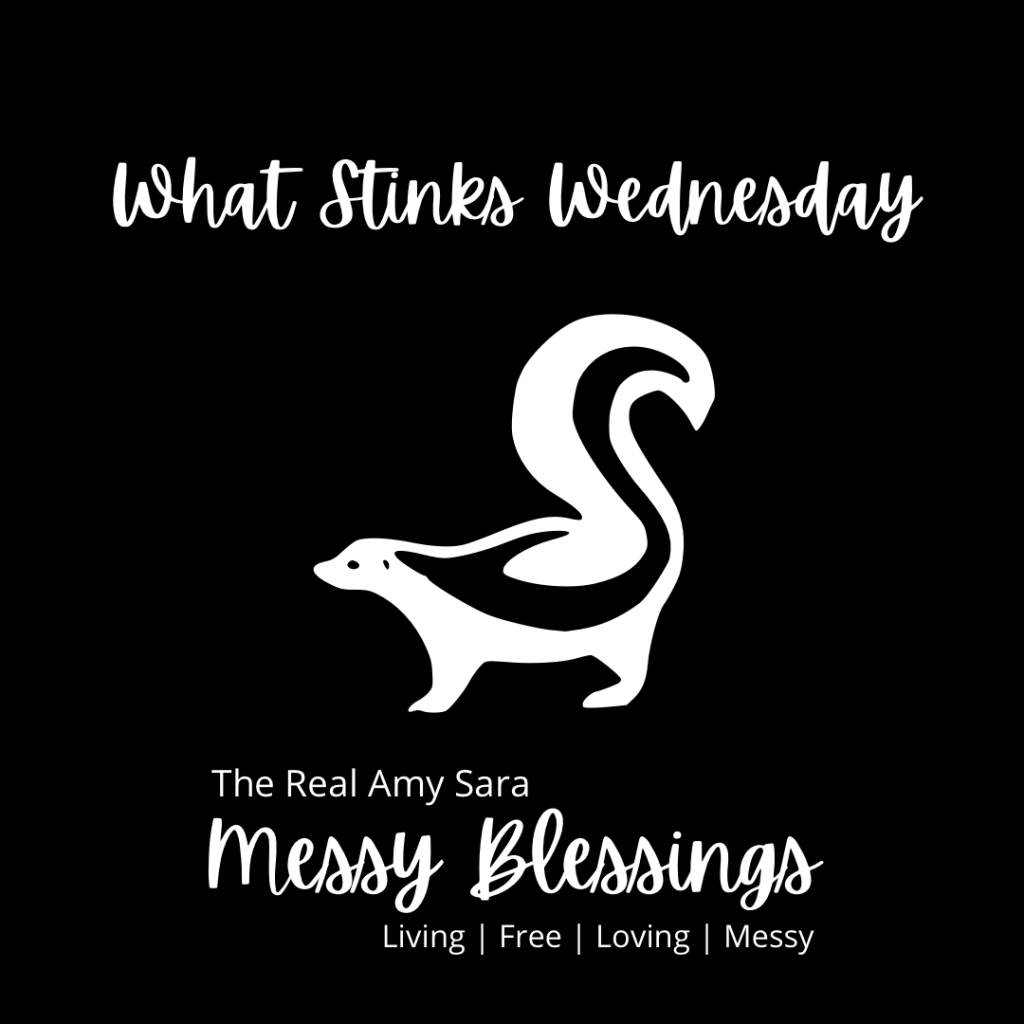 What Stinks: Adult&nbsp;Lessons