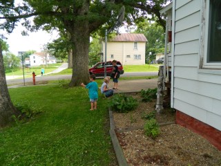 (c) amysara and The R Farm