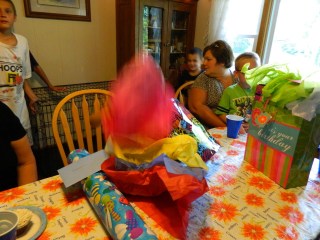 (c) amysara and The R Farm