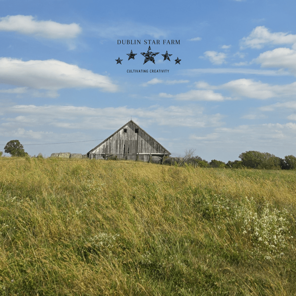 Dublin Star Farm&nbsp;Intro